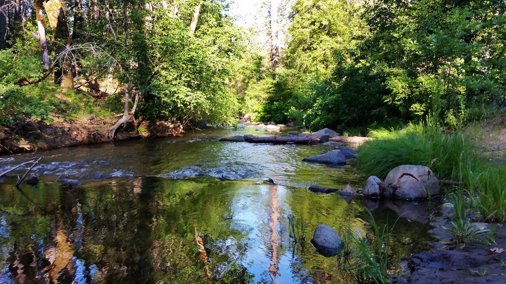 Yosemite Riverside Inn Groveland Extérieur photo